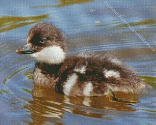 goldeneye duckling Diamond With Numbers