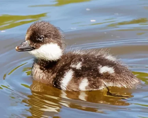 goldeneye duckling Diamond With Numbers