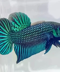 Betta Smaragdina Diamond Painting