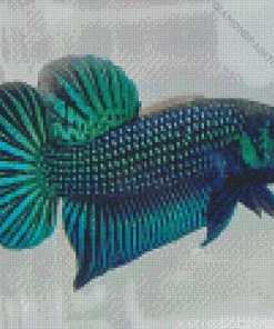 Betta Smaragdina Diamond Painting