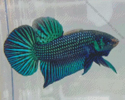 Betta Smaragdina Diamond Painting