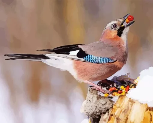 Eurasian Jay Bird Diamond Painting
