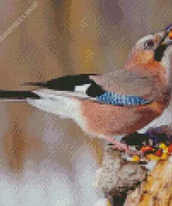 Eurasian Jay Bird Diamond Painting