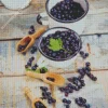 Fresh Blueberry Diamond Painting