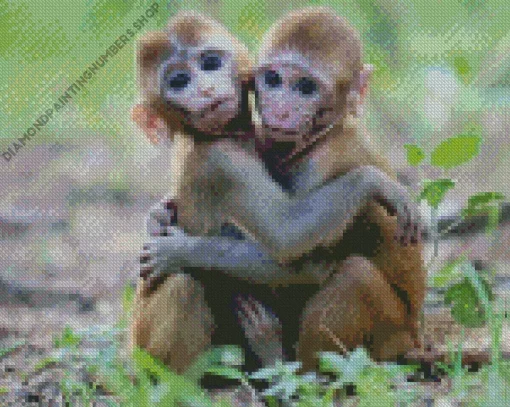 Baby Monkey Diamond Painting