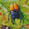 Beetle Art Diamond Painting