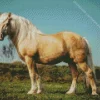 Beige Horse Diamond Painting