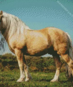 Beige Horse Diamond Painting