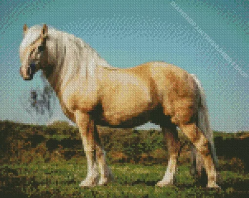 Beige Horse Diamond Painting