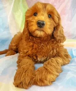Bernedoodle Puppy Diamond Painting