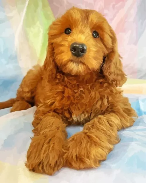 Bernedoodle Puppy Diamond Painting