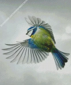 Bird Blue Tit Diamond Painting