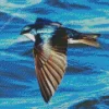 Bird Flying Over Ocean Diamond Painting