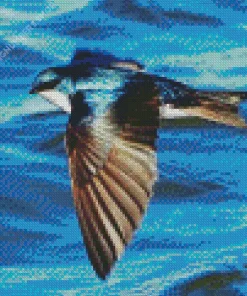 Bird Flying Over Ocean Diamond Painting