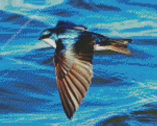 Bird Flying Over Ocean Diamond Painting