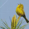 Bird Singing Diamond Painting