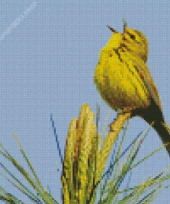 Bird Singing Diamond Painting