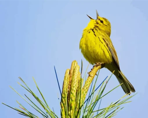 Bird Singing Diamond Painting
