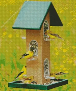 Birds Feeder Diamond Painting