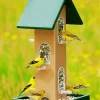 Birds Feeder Diamond Painting