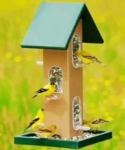 Birds Feeder Diamond Painting