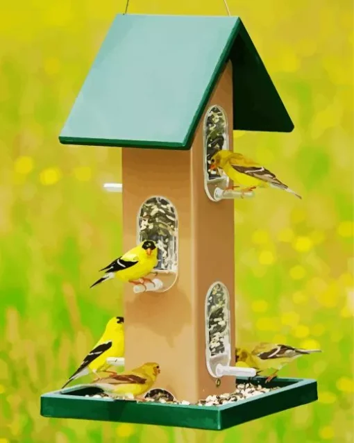 Birds Feeder Diamond Painting