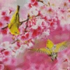 Birds On Flowers Diamond Painting