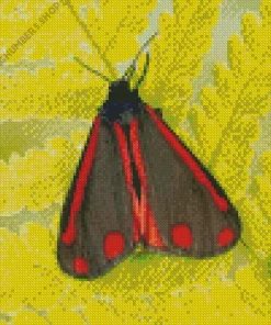 Black And Red Butterfly Diamond Painting