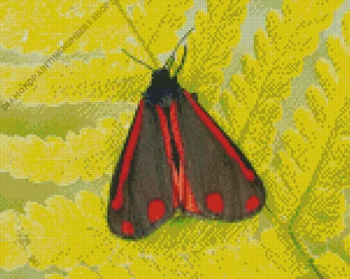 Black And Red Butterfly Diamond Painting