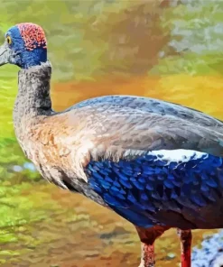 Black And Red Ibis Diamond Painting