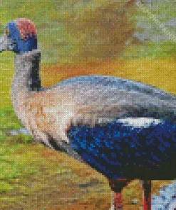 Black And Red Ibis Diamond Painting