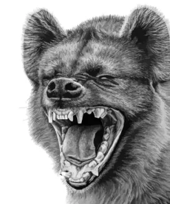 Black And White Hyena Diamond Painting