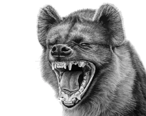 Black And White Hyena Diamond Painting