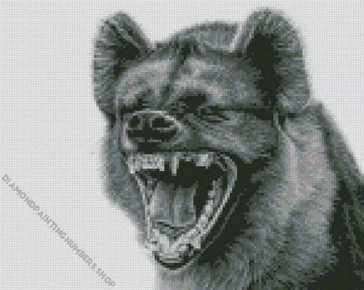 Black And White Hyena Diamond Painting