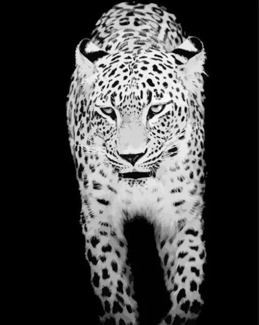 Black And White Leopard Diamond Painting