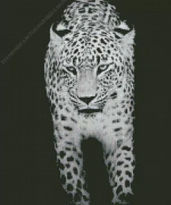 Black And White Leopard Diamond Painting