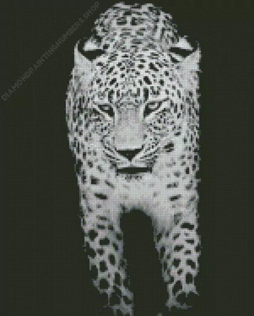 Black And White Leopard Diamond Painting