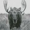 Black And White Moose Diamond Painting