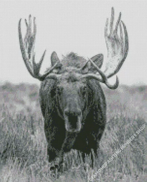 Black And White Moose Diamond Painting