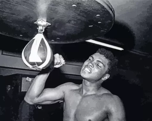 Black And White Muhammad Ali Diamond Painting
