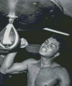 Black And White Muhammad Ali Diamond Painting