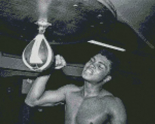 Black And White Muhammad Ali Diamond Painting