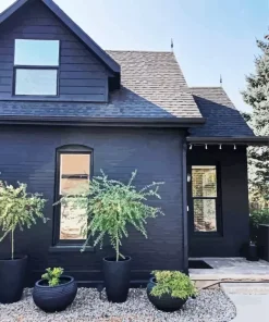 Black House Diamond Painting