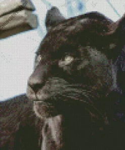 Black Jaguar Diamond Painting