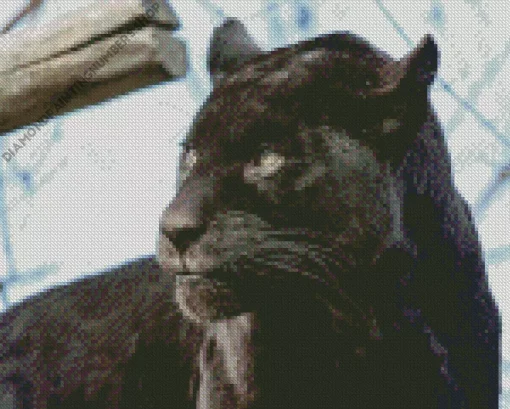 Black Jaguar Diamond Painting