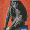 Black Monkey Diamond Painting