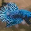 Blue Betta Fish Art Diamond Painting