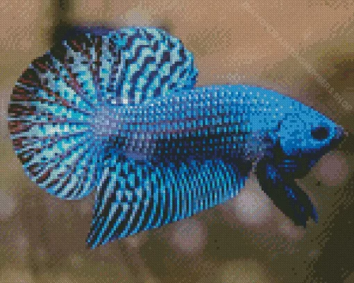 Blue Betta Fish Art Diamond Painting