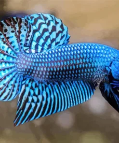 Blue Betta Fish Art Diamond Painting