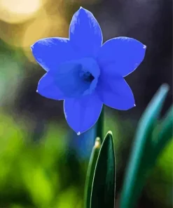 Blue Daffodil Diamond Painting